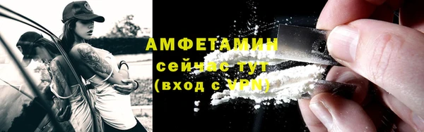 ГАЛЛЮЦИНОГЕННЫЕ ГРИБЫ Яровое