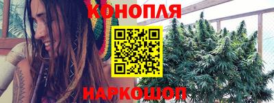 круглые Кингисепп