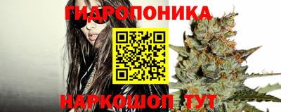 круглые Кингисепп