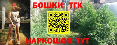 круглые Кингисепп