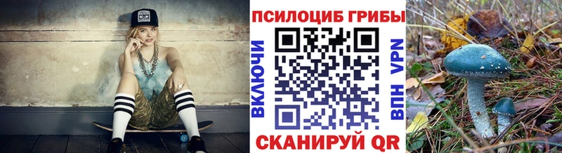 где найти   кракен онион  Псилоцибиновые грибы MAGIC MUSHROOMS  Ногинск 