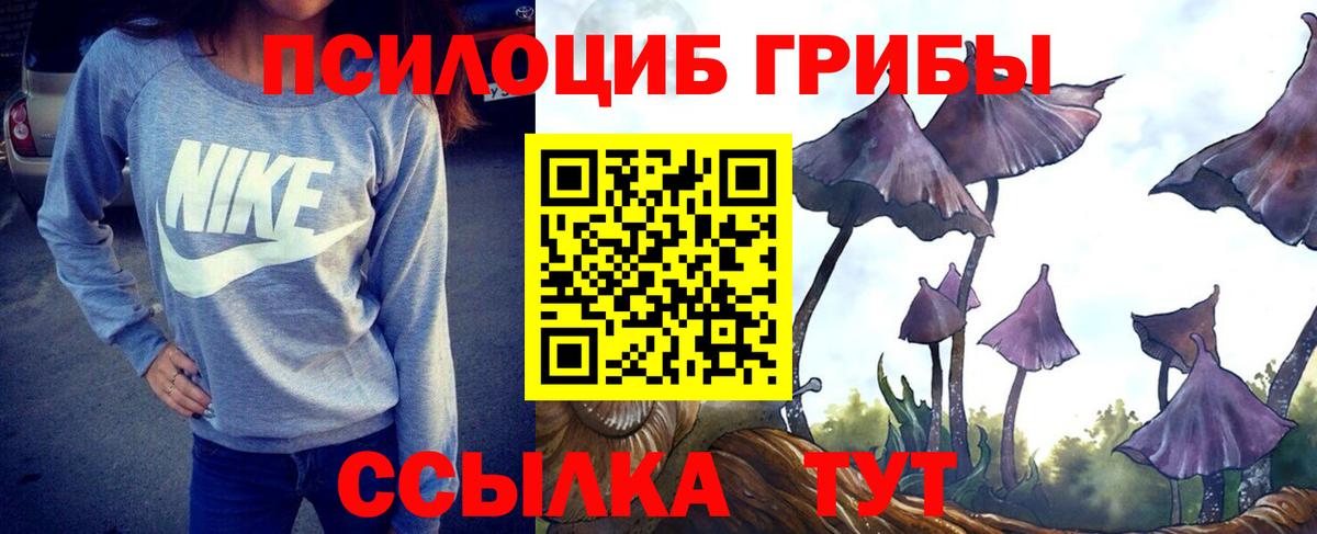 Псилоцибиновые грибы мицелий Ногинск