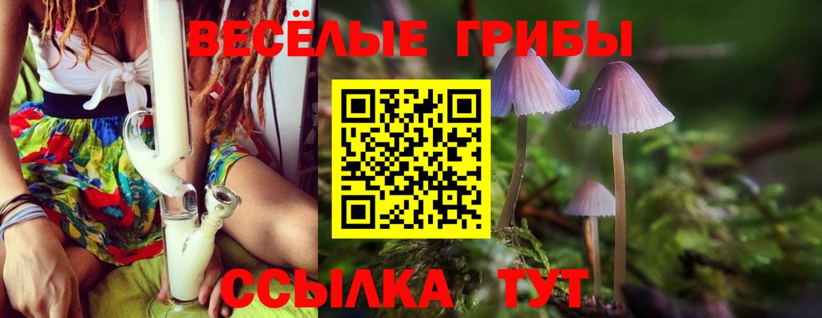Псилоцибиновые грибы Psilocybe  Галлюциногенные грибы прущие грибы  Ногинск  Вход с VPN 